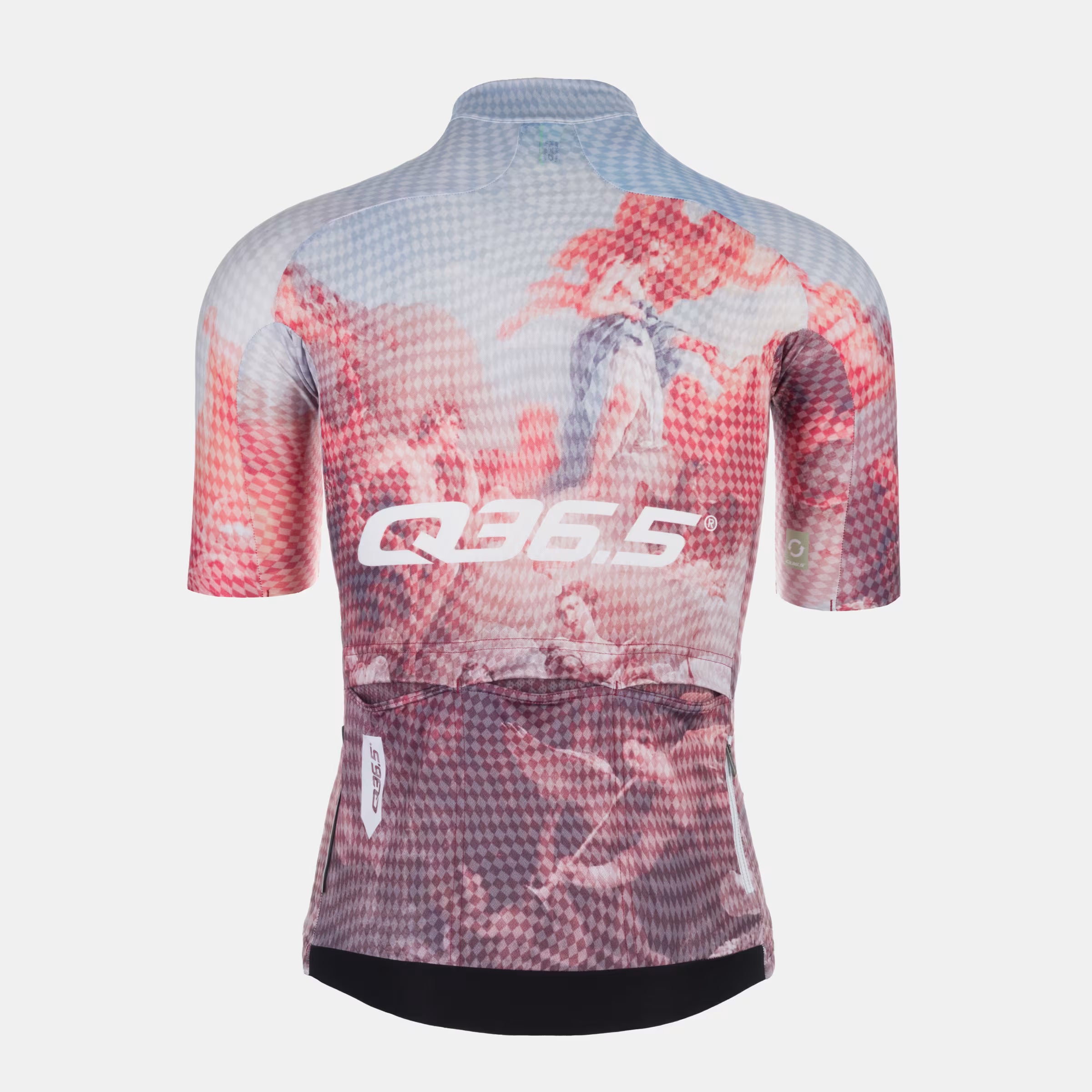 Back view of Q36.5 Gregarius Pro Fresco Jersey - Men's - Fresco with artistic pattern and fitted cycling cut