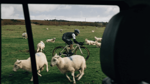 Sheep bike 2025