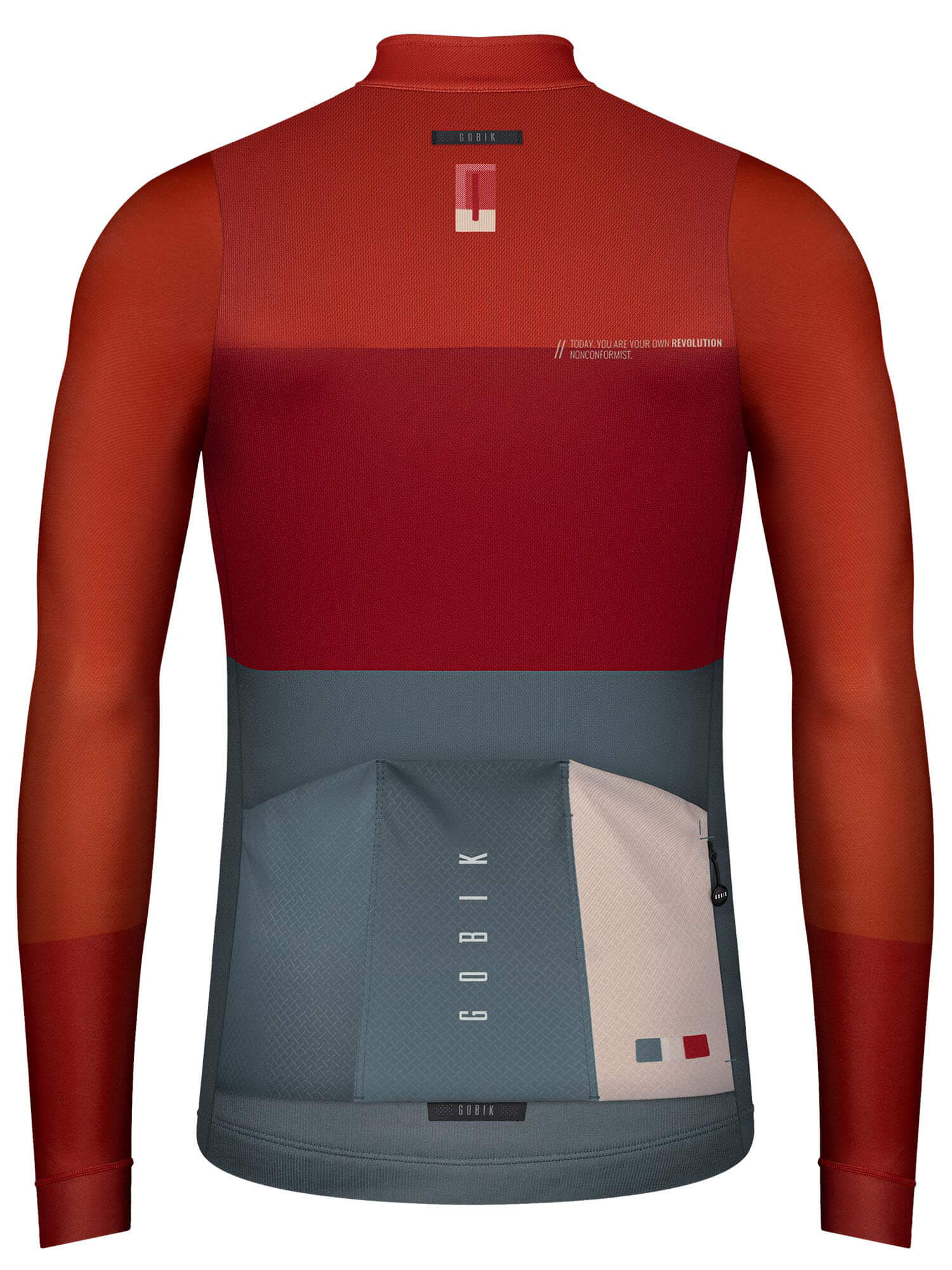 Back view of GOBIK Cobble Long Sleeve Jersey - Men's (2022) showing color blocks and rear pockets for storage